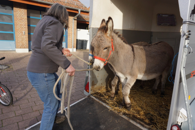 Nikolaus: Was war da gestern los ???
