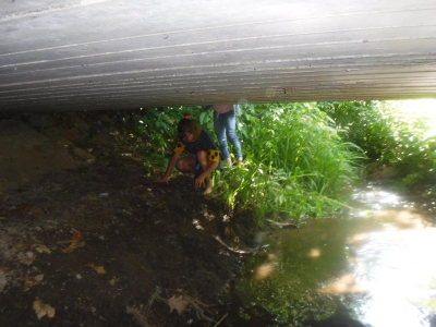 Juni 2022 - Seebachabenteuer